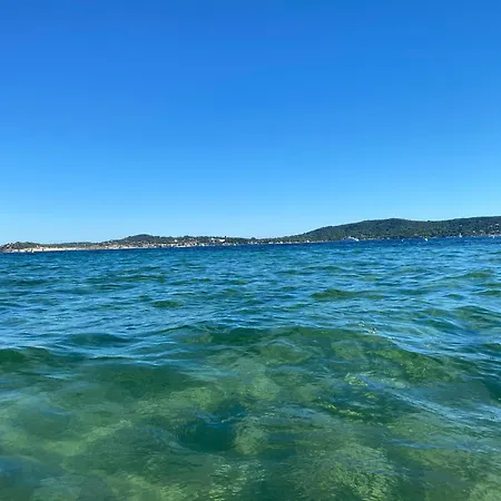 55 בית הארחה