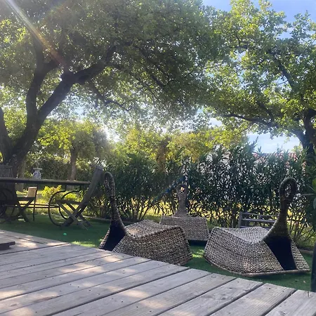 55 Grimaud